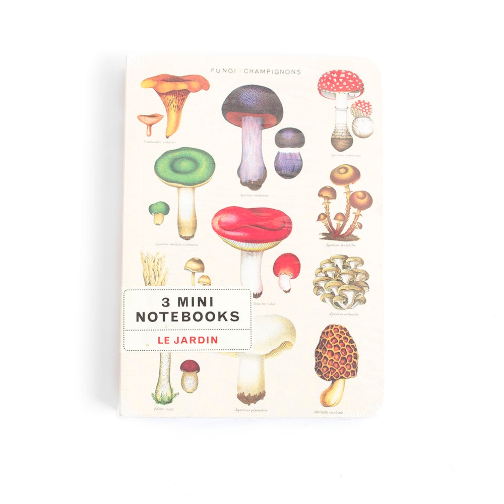 Cavallini, Memo & Notebooks, Art & School, 4"x5.5", Mini, Set, Jardin, 376282